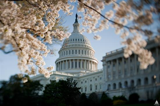 Don’t count on ‘moderates’ to bridge the political divide
